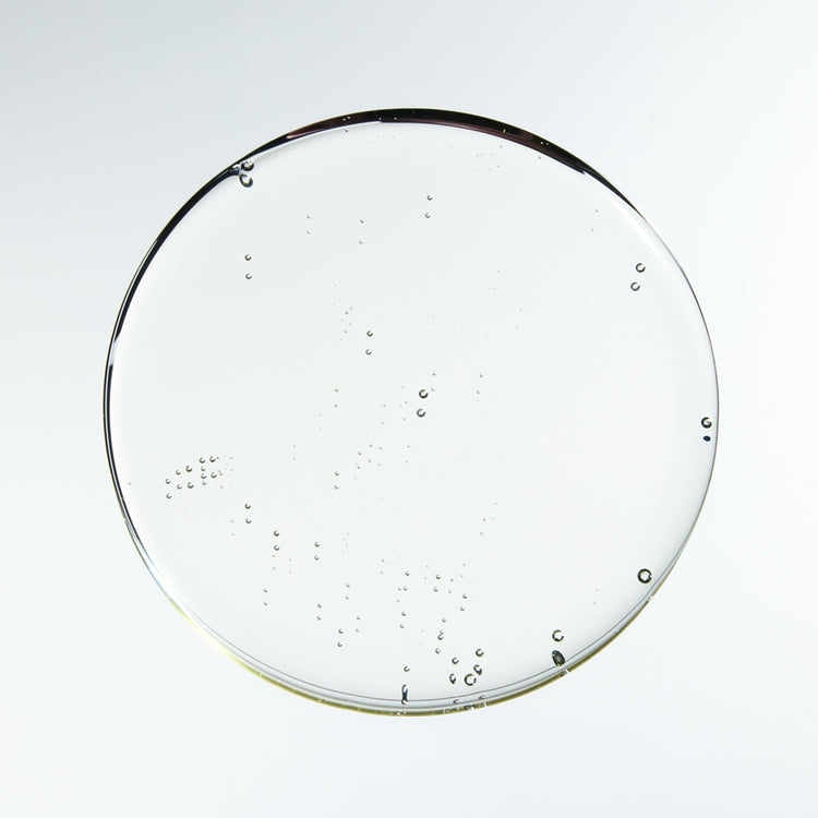 Light Cleanse Shampoo