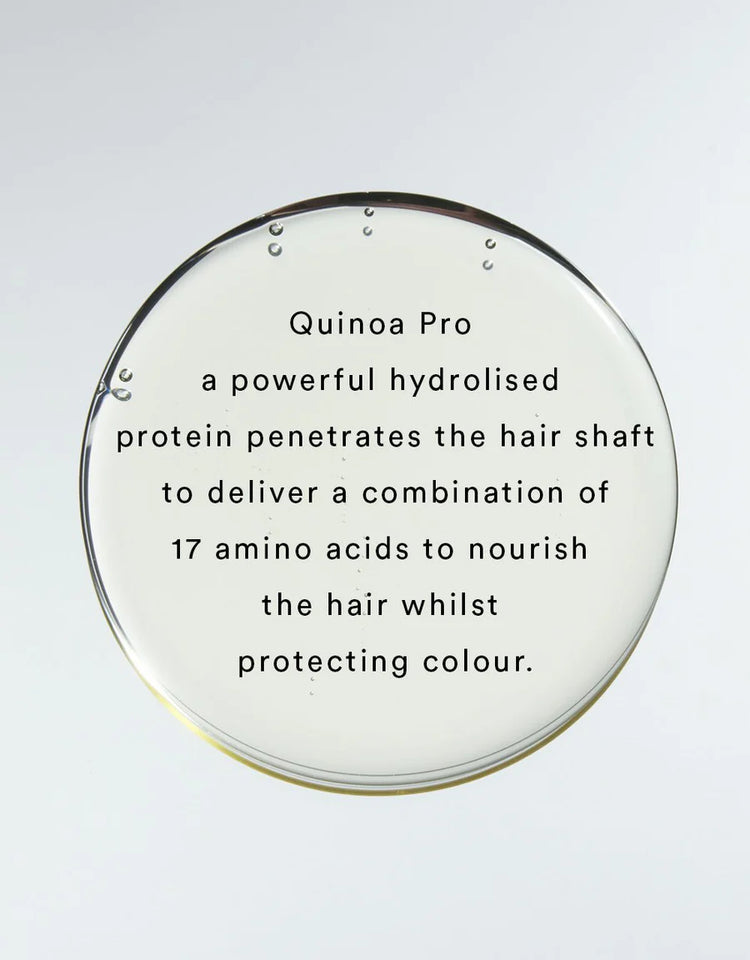 Rich Cleanse Nourishing Shampoo