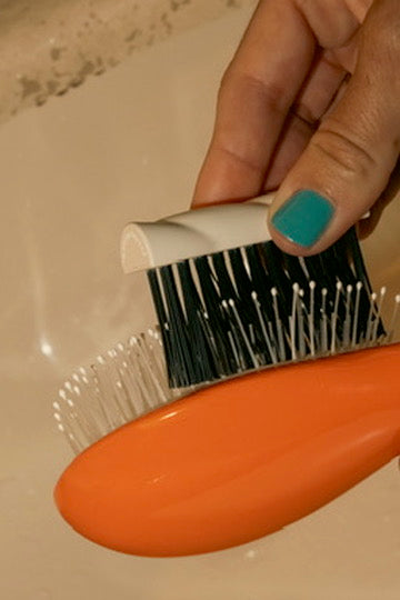 The Cleaning Brush - Accessory