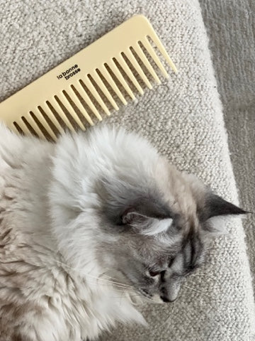 The Large Detangling Comb