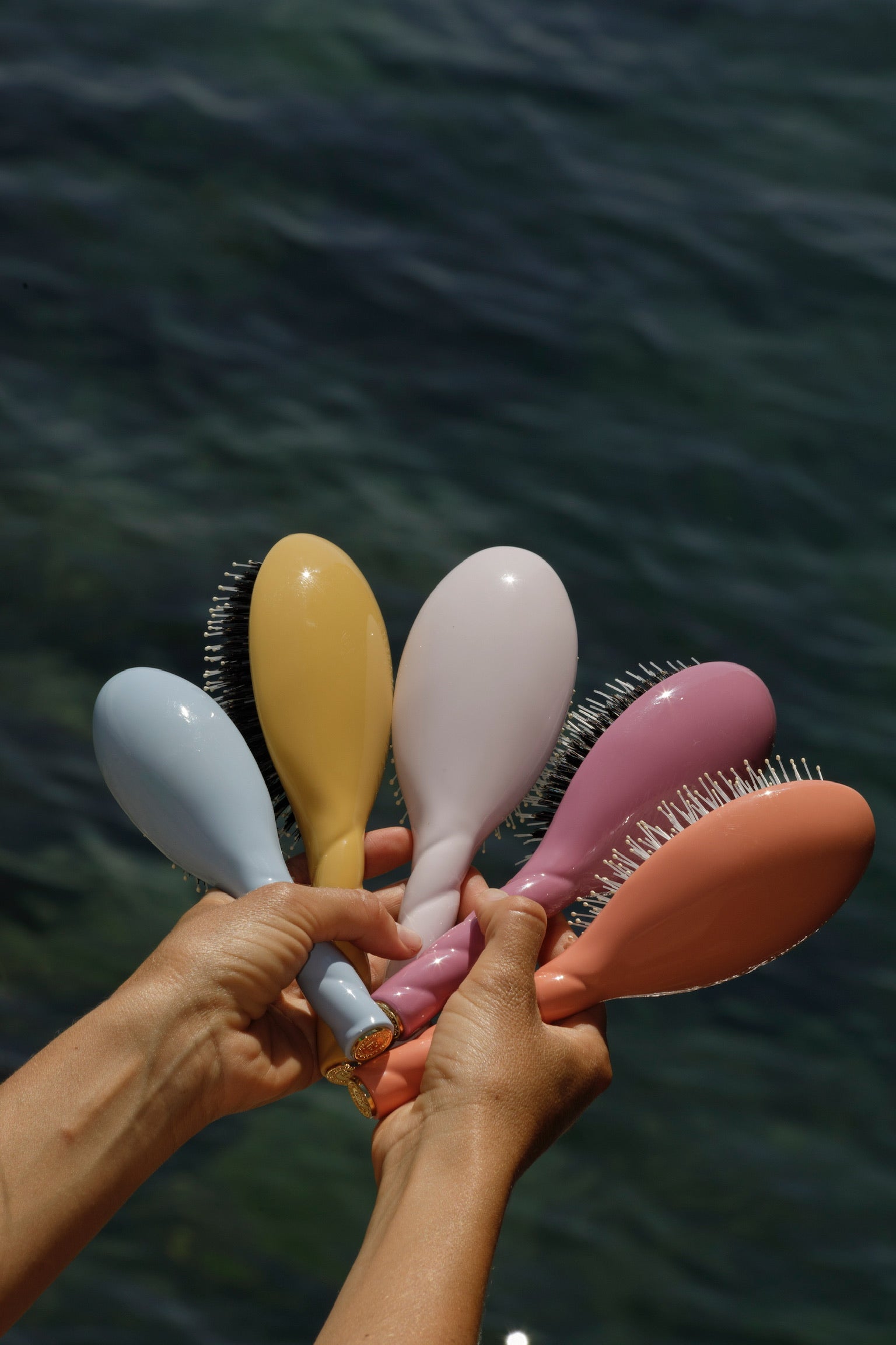 N01 - Brosse Large - Shine & Care